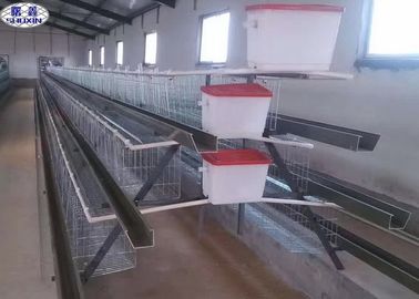 養鶏場PVOCの証明のための電流を通された金網の鶏の卵のおり