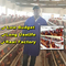 ホットガルバン化 4 層の卵 鶏場のための商業用層の檻