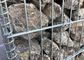 50 x 100mmは溶接された網Gabion/溶接された石造りのおりの壁に電流を通しました