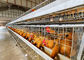 タンザニアの農場4層の鶏の層電池おり、家禽はシステムをおりに入れます
