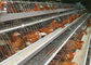 電流を通された電池の鶏の層のおり、家禽の農機具