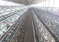 Hのタイプは南アフリカ共和国の市場のための自動betteryの養鶏場のlaerの鶏のおりに電流を通した