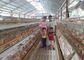 Hのタイプは南アフリカ共和国の市場のための自動betteryの養鶏場のlaerの鶏のおりに電流を通した