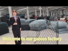 Gabionのバスケットの研修会