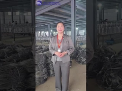 不明な線障害 MZPワークショップの紹介と展示