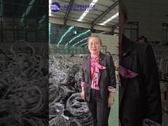 不明な線障害 MZP ワークショップ 紹介と展示