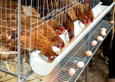 卵の層の鶏電池おり、農場の置く雌鶏の家禽の層のおりシステム