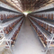 養鶏場5層は鶏のおり250の鳥の動物電池を層にする