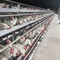 ガルファンのワイヤー 鶏家 卵を産む鶏の檻