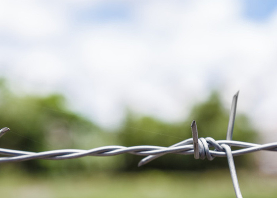 刑務所の壁の利用 双線型 伝統的回転電極刺線コイル