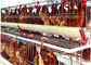 タイプ オート機能128の家禽の鶏は卵の層の農機具をおりに入れる