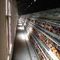 養鶏場装置のための商業動物の自動鶏の層のおり