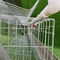 養鶏場で自動96羽の鳥によって電流を通されるワイヤー層の鶏の鋼鉄おり
