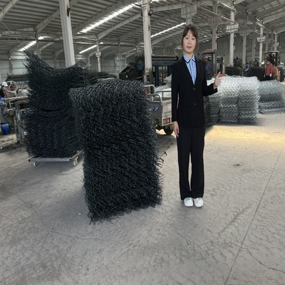 低炭素鋼鉄溶接されたワイヤーGabionのバスケットの耐食性