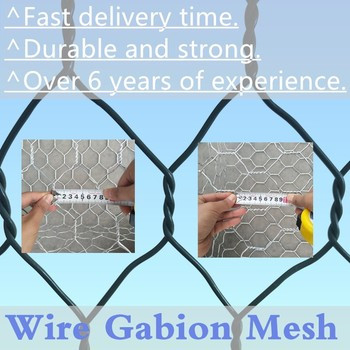 100mm × 120mm ワイヤ Mesh ガビオン ボックス 便利なサイズ 2m × 1m × 1m 土を保持するために