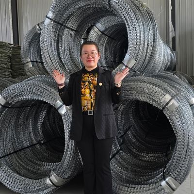 エゴザのコンサートラザーの有刺鉄線フェンス究極のペリメーター防御ソリューション