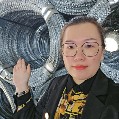 Egoza コンサートina バリカンワイヤーフェンスで最大限のセキュリティを強化