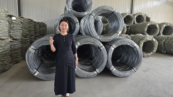 KN ホットセール 高安全性 ホットディープ バルナライズド 刺毛機 ワイヤ Mesh, 刑務所/空港に適しています