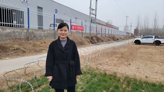 BTO-22 Galvanized Razor Barbed Wire Coil for Security Fence