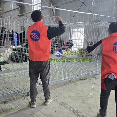 競争力のあるヘスコバリア価格のKN溶融亜鉛メッキ溶接かご