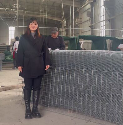 SX10 サンダーフィールド HESCO 地質繊維の防御壁 軍事ガビオン壁 hesco壁価格