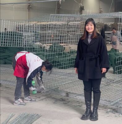 ミル 1 軍 防衛 壁 壁 保護 地質繊維 塗装